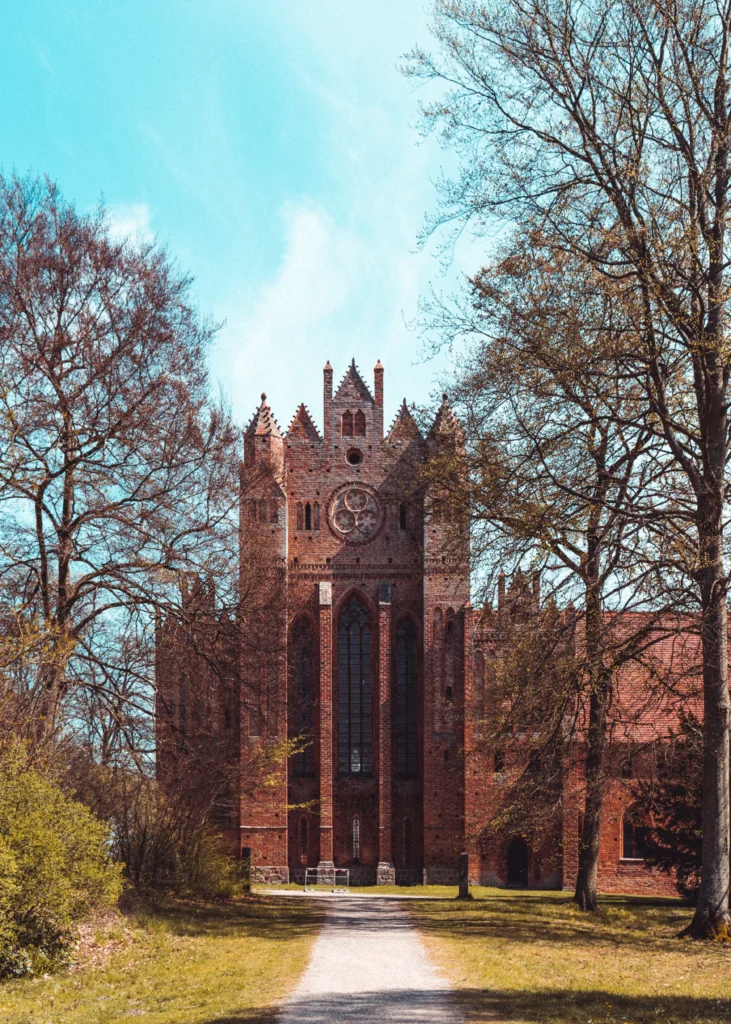 Study data science in Germany for commerce students